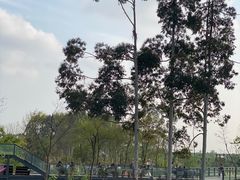 -三圣花乡旅游区