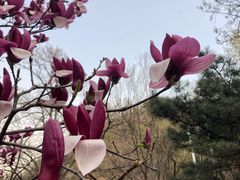 -北京鹫峰国家森林公园