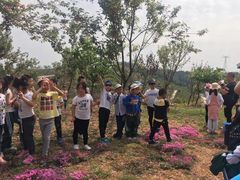 -绵阳盛世樱花悠乐谷