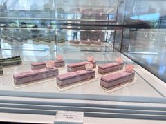 -BLACKSWAN黑天鹅(环球店)