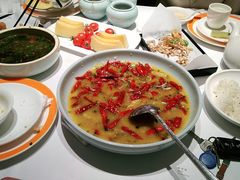 头牌酸萝卜黑鱼-小厨娘淮扬菜(天印大道店)