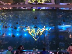 -瑞德姆美人鱼海底演艺主题餐厅(亚龙湾店)