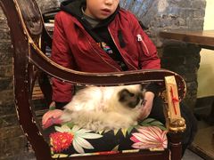 -猫色咖啡·猫咖