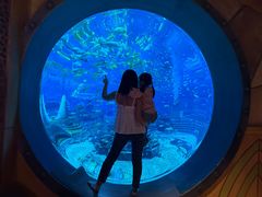 -亚特兰蒂斯•OSSIANO奥西亚诺海底餐厅