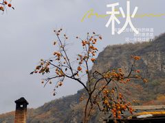 -周口店坡峰岭风景区