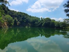 -王借岗森林公园