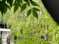 -青果巷历史文化街区