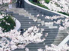 -杭州少年儿童公园