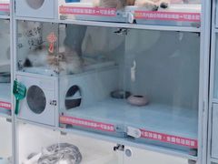 -lincat·猫舍(广州店)