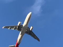 -空港花田景区