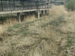 -新疆天山野生动物园