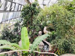 -北京植物园-展览温室