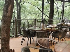 -巴倒烫陆派火锅山庄(南山总店)