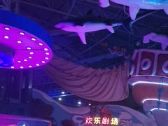 -烟台海昌鲸鲨海洋公园