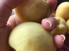 -南窖乡水峪村山情农家