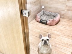 -Double Rui宠物酒店