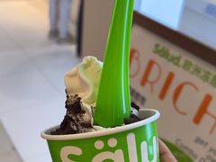 -Salud撒露欧洲冻酸奶(蓝色港湾店)