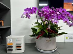 -2080网球学练馆