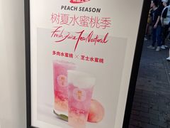 -树夏(建设路店)