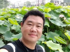 -洪湖生态旅游区