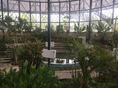 -武清南湖绿博园