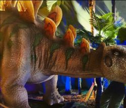 -恐龙探索乐园(磁器口店)