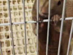 -雨林宠物医院 非犬猫异宠专科