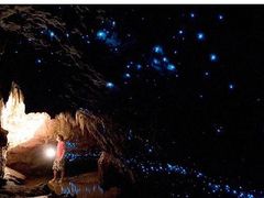 -怀托摩萤火虫洞