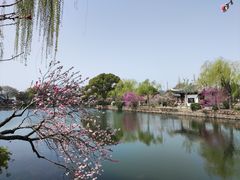 -无锡蠡湖国家湿地公园-蠡园
