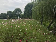 -梁鸿国家湿地公园