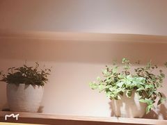 -左悦·艾灸调理·推拿按摩·精油SPA(卓悦汇店)