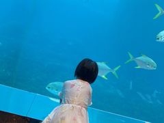 -瑞德姆美人鱼海底演艺主题餐厅(亚龙湾店)
