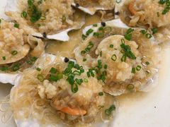 蒜蓉粉丝蒸元贝-明香海鲜酒家(华强北店)