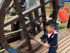 -上海长兴岛郊野公园