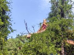 -北京国子监胡同