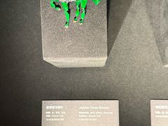 -深圳珠宝博物馆