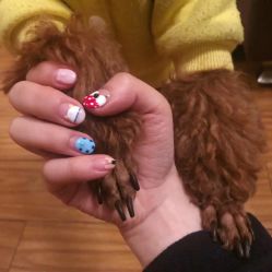 -J·C NAIL美甲美睫