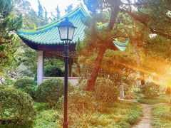 -叶家花园