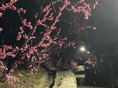 -抱犊寨风景区