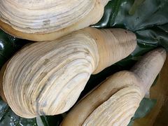 -半岛听涛蒸汽海鲜自助(K11店)
