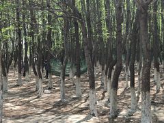 -亲兄弟真人CS团建拓展基地