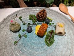 开胃四小碟-叶叶菩提(旗舰店)