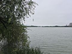 -金银湖国家城市湿地公园