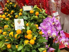 -山姆会员商店(杨桥西路店)