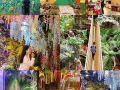 -正佳雨林生态植物园