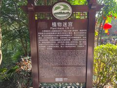 -大屏嶂森林公园