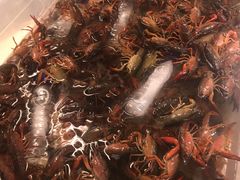 -开元新晶都酒店·自助火锅