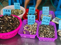 -有间冰室(侨港风情街店)