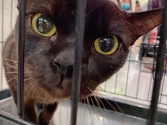 -凯德广场(武胜路店)