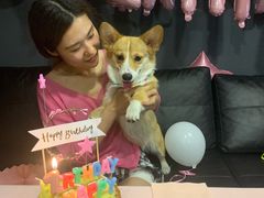 -百好乐宠物友好餐厅(朝外大街店)